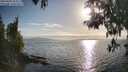 ./images/koeye/fitz-hugh/20250430/fitz-hugh20250430_182009M.jpg