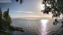 ./images/koeye/fitz-hugh/20250430/fitz-hugh20250430_182510M.jpg