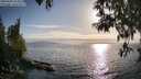 ./images/koeye/fitz-hugh/20250430/fitz-hugh20250430_183011M.jpg