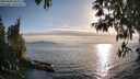 ./images/koeye/fitz-hugh/20250430/fitz-hugh20250430_184511M.jpg