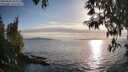 ./images/koeye/fitz-hugh/20250430/fitz-hugh20250430_185010M.jpg