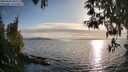 ./images/koeye/fitz-hugh/20250430/fitz-hugh20250430_185510M.jpg