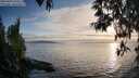 ./images/koeye/fitz-hugh/20250430/fitz-hugh20250430_192509M.jpg