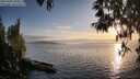 ./images/koeye/fitz-hugh/20250430/fitz-hugh20250430_194009M.jpg