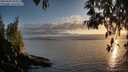 ./images/koeye/fitz-hugh/20250430/fitz-hugh20250430_201008M.jpg