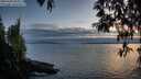 ./images/koeye/fitz-hugh/20250430/fitz-hugh20250430_204009M.jpg