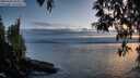 ./images/koeye/fitz-hugh/20250430/fitz-hugh20250430_204508M.jpg