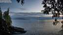 ./images/koeye/fitz-hugh/20250430/fitz-hugh20250430_210009M.jpg