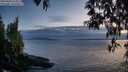 ./images/koeye/fitz-hugh/20250430/fitz-hugh20250430_211009M.jpg