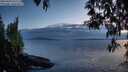 ./images/koeye/fitz-hugh/20250430/fitz-hugh20250430_211509M.jpg