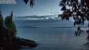 ./images/koeye/fitz-hugh/20250430/fitz-hugh20250430_212509M.jpg