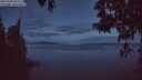 ./images/koeye/fitz-hugh/20250501/fitz-hugh20250501_051509M.jpg