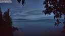 ./images/koeye/fitz-hugh/20250501/fitz-hugh20250501_052009M.jpg