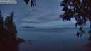./images/koeye/fitz-hugh/20250501/fitz-hugh20250501_052508M.jpg