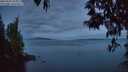 ./images/koeye/fitz-hugh/20250501/fitz-hugh20250501_053009M.jpg