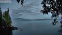 ./images/koeye/fitz-hugh/20250501/fitz-hugh20250501_054010M.jpg