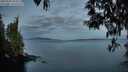 ./images/koeye/fitz-hugh/20250501/fitz-hugh20250501_054508M.jpg