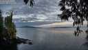 ./images/koeye/fitz-hugh/20250501/fitz-hugh20250501_061510M.jpg