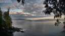 ./images/koeye/fitz-hugh/20250501/fitz-hugh20250501_063510M.jpg
