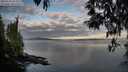 ./images/koeye/fitz-hugh/20250501/fitz-hugh20250501_064510M.jpg