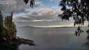 ./images/koeye/fitz-hugh/20250501/fitz-hugh20250501_065510M.jpg