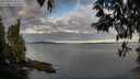 ./images/koeye/fitz-hugh/20250501/fitz-hugh20250501_071010M.jpg