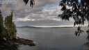 ./images/koeye/fitz-hugh/20250501/fitz-hugh20250501_071509M.jpg