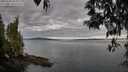 ./images/koeye/fitz-hugh/20250501/fitz-hugh20250501_072510M.jpg