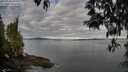 ./images/koeye/fitz-hugh/20250501/fitz-hugh20250501_075011M.jpg