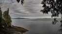 ./images/koeye/fitz-hugh/20250501/fitz-hugh20250501_082509M.jpg