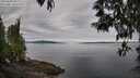 ./images/koeye/fitz-hugh/20250501/fitz-hugh20250501_085510M.jpg