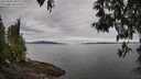./images/koeye/fitz-hugh/20250501/fitz-hugh20250501_095510M.jpg