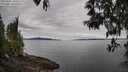 ./images/koeye/fitz-hugh/20250501/fitz-hugh20250501_100510M.jpg