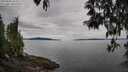 ./images/koeye/fitz-hugh/20250501/fitz-hugh20250501_102510M.jpg