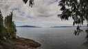 ./images/koeye/fitz-hugh/20250501/fitz-hugh20250501_110510M.jpg