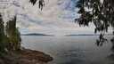 ./images/koeye/fitz-hugh/20250501/fitz-hugh20250501_111511M.jpg