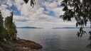 ./images/koeye/fitz-hugh/20250501/fitz-hugh20250501_112508M.jpg