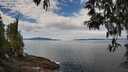 ./images/koeye/fitz-hugh/20250501/fitz-hugh20250501_113510M.jpg