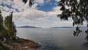 ./images/koeye/fitz-hugh/20250501/fitz-hugh20250501_115010M.jpg