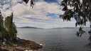 ./images/koeye/fitz-hugh/20250501/fitz-hugh20250501_120509M.jpg