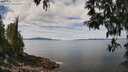 ./images/koeye/fitz-hugh/20250501/fitz-hugh20250501_121011M.jpg