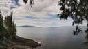 ./images/koeye/fitz-hugh/20250501/fitz-hugh20250501_121511M.jpg