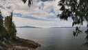 ./images/koeye/fitz-hugh/20250501/fitz-hugh20250501_122010M.jpg