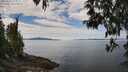 ./images/koeye/fitz-hugh/20250501/fitz-hugh20250501_122510M.jpg