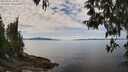 ./images/koeye/fitz-hugh/20250501/fitz-hugh20250501_124509M.jpg