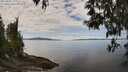./images/koeye/fitz-hugh/20250501/fitz-hugh20250501_125009M.jpg