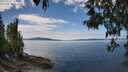 ./images/koeye/fitz-hugh/20250501/fitz-hugh20250501_131511M.jpg
