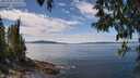 ./images/koeye/fitz-hugh/20250501/fitz-hugh20250501_132011M.jpg