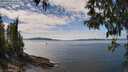 ./images/koeye/fitz-hugh/20250501/fitz-hugh20250501_132510M.jpg