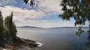./images/koeye/fitz-hugh/20250501/fitz-hugh20250501_133011M.jpg